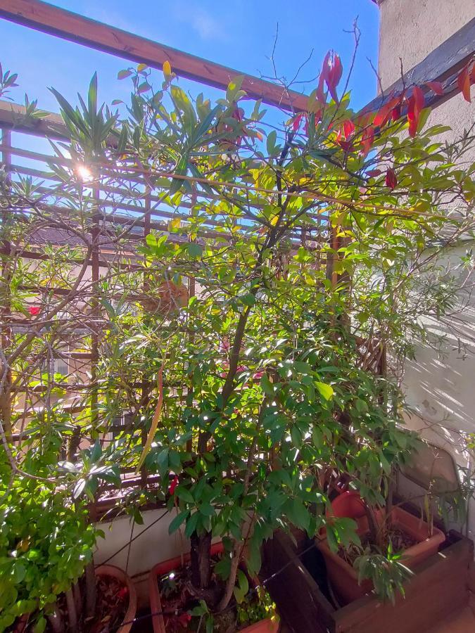 Lovely Gazebo 米兰 外观 照片